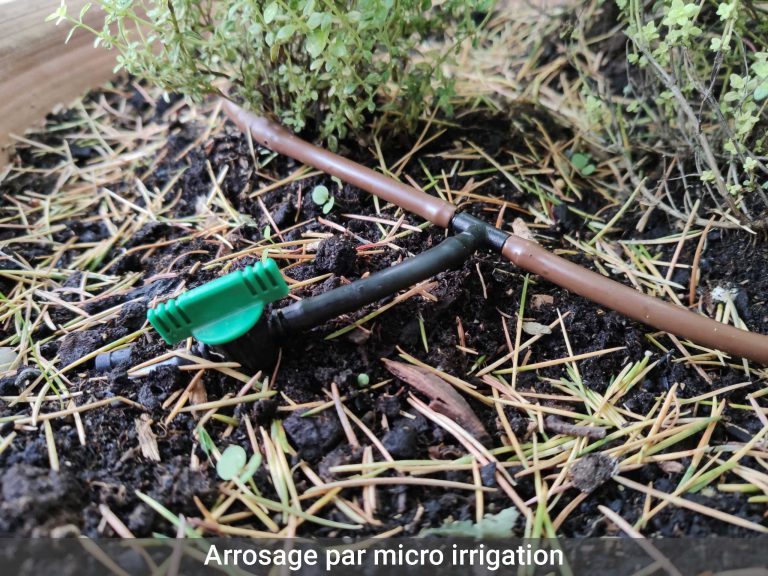 Arrosage micro irrigation